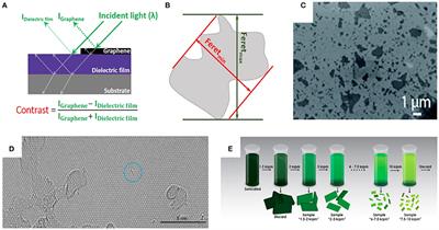 Current Trends in the Optical Characterization of Two-Dimensional Carbon Nanomaterials